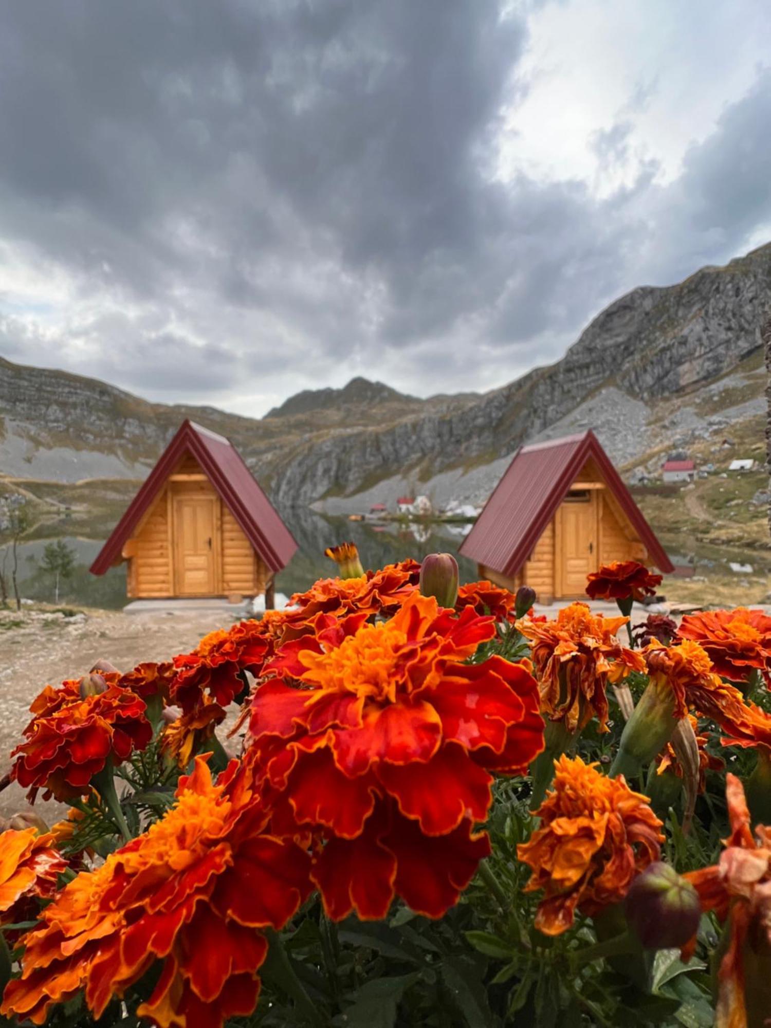 Rural Household Minic - Kapetanovo Jezero Hostel Kolasin Exterior photo