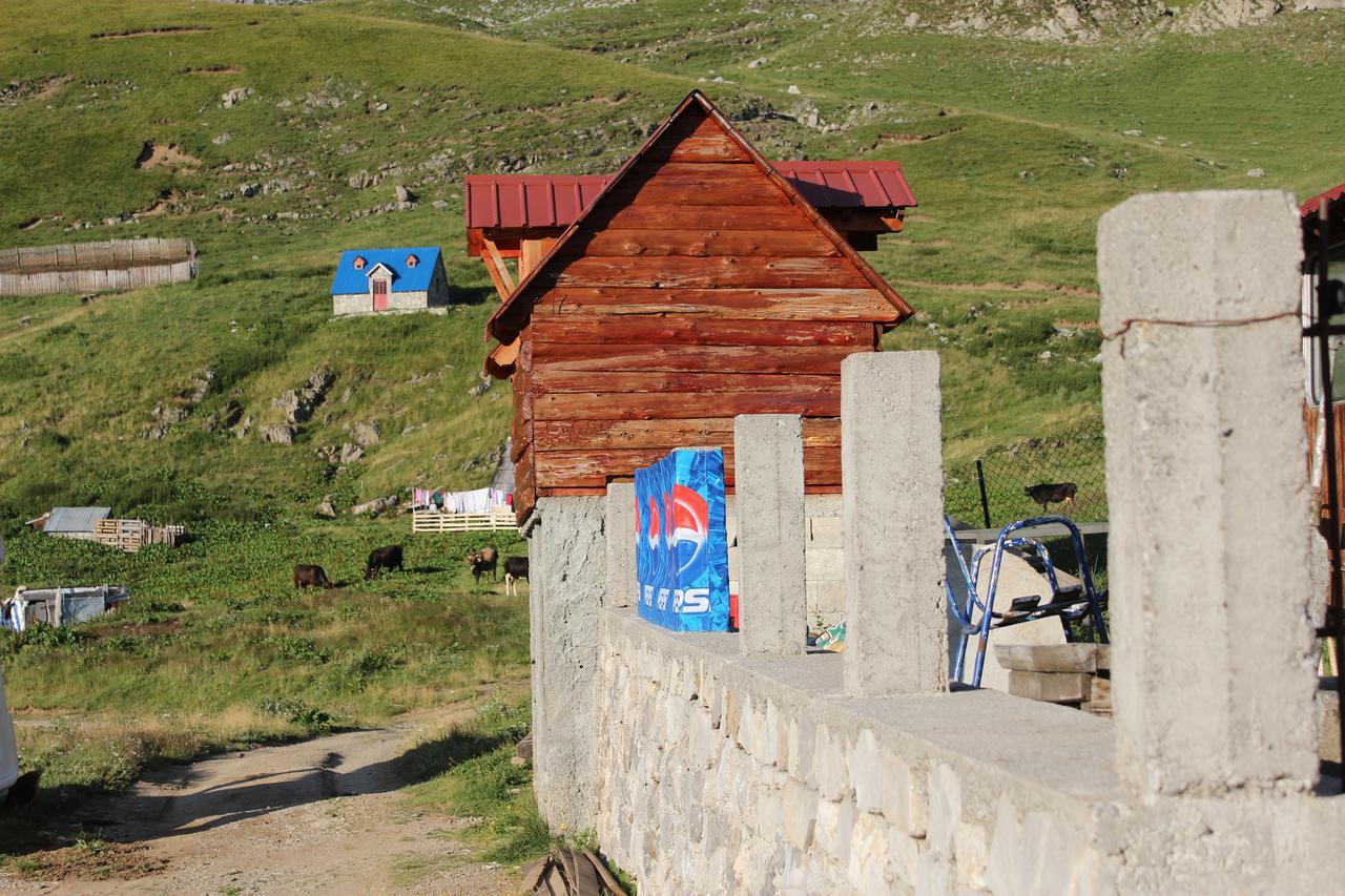 Rural Household Minic - Kapetanovo Jezero Hostel Kolasin Exterior photo